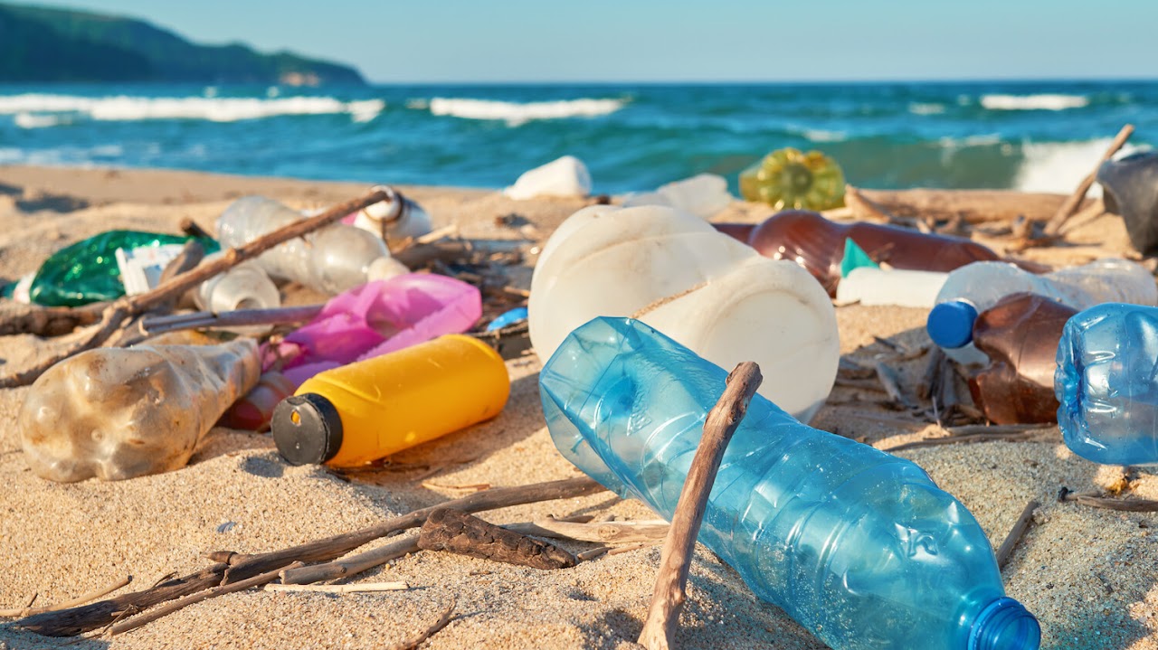 Plastic waste on a beach