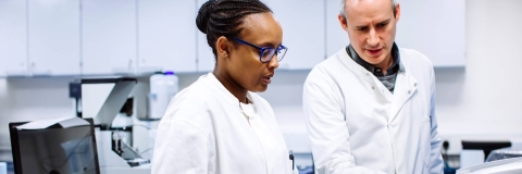 Members of staff conducting research