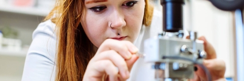 Student conducting research in a lab